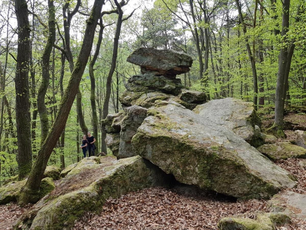 Ferienwohnungen Katharina Traben-Trarbach Zewnętrze zdjęcie